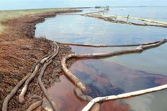 Sự cố tràn dầu. (Nguồn: aljazeera.com)