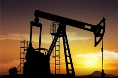 Ảnh minh họa. (Nguồn: fpif.org)