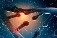 Ảnh minh họa. (Nguồn: infobae.com)