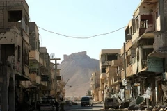 Thành phố Palmyra. (Nguồn: AFP/TTXVN)