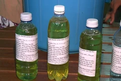 Ảnh từ clip. (Nguồn: TTXVN)