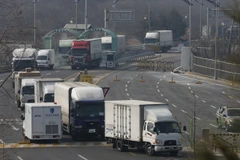 Xe chở công dân Hàn Quốc rời khỏi khu công nghiệp Kaesong ngày 11/2. (Nguồn: AFP/TTXVN)