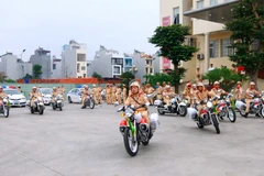 Người dân TP.HCM mong sớm thành lập đội Săn bắt cướp