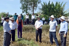 Bộ trưởng Nông nghiệp và Phát triển Nông thôn Cao Đức Phát kiểm tra tình hình hạn hán, cấp nước sinh hoạt tại huyện Sa Thầy tỉnh Kon Tum. (Ảnh: Cao Nguyên/TTXVN)