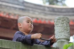 Cuộc thi sắc đẹp chỉ dành cho các "tiểu hoà thượng"