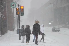 Bão tuyết hoành hành tại nhiều tỉnh bang của Canada. (Nguồn: AFP/TTXVN)