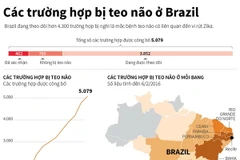Hơn 5.000 trường hợp bị teo não do virus Zika ở Brazil