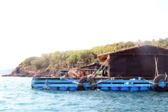 Ảnh minh họa. (Nguồn: TTXVN)