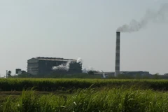 Ảnh minh họa. (Nguồn: ipsnews.net)