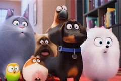 Ảnh minh họa. (Nguồn: thesecretlifeofpets.com)
