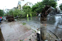 Cây đổ trên phố Võ Thị Sáu. (Ảnh: Huy Hùng/TTXVN) 