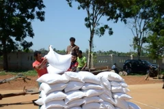 Tập kết gạo chuẩn bị cấp phát cho người dân. (Ảnh: Ngọc Minh/TTXVN) 