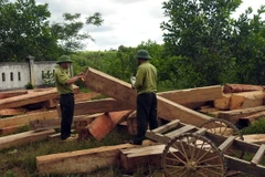 Triệu tập 3 đối tượng trong vụ truy sát cán bộ rừng Lâm Đồng