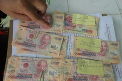 Ảnh minh họa. (Nguồn: TTXVN)