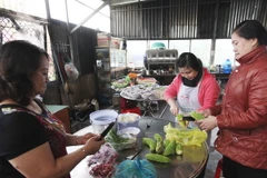 Ảnh minh họa. (Nguồn: TTXVN)