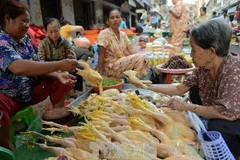 Ảnh minh họa. (Nguồn: AFP/TTXVN)