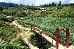 Cầu treo tại thôn Sả Xéng, xã Tả Phìn được đầu tư từ nguồn vốn của Chương trình 135. (Ảnh: Thanh Tùng/TTXVN)