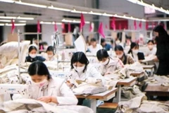 (Ảnh minh họa: TTXVN)