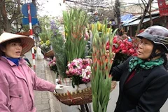 Hoa trái giá cao khiến người tiêu dùng bối rối. (Ảnh: Quỳnh Trang/Vietnam+)