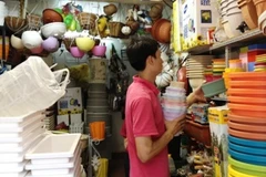 Đa dạng chủng loại chậu cây cảnh phục vụ Hè. (Ảnh: Quỳnh Trang/Vietnam+)