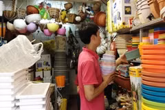 Đa dạng chủng loại chậu cây cảnh phục vụ Hè. (Ảnh: Quỳnh Trang/Vietnam+)