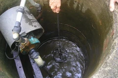 Ảnh chỉ có tính minh họa. (Nguồn: Internet)