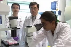 Nhóm nghiên cứu đang thực hiện thí nghiệm. (Nguồn: Channel NewsAsia)
