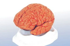 Ảnh chỉ có tính minh họa. (Nguồn: Internet)