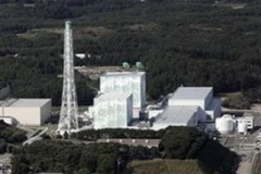 Lò phản ứng số 5 và số 6. (Nguồn: AP)