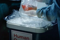 Ảnh chỉ có tính minh họa. (Nguồn: naharnet.com)