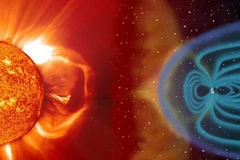 Ảnh chỉ có tính minh họa. (Nguồn: Internet)