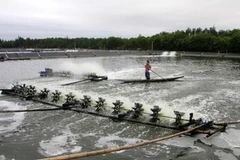 Ảnh chỉ có tính minh họa. (Ảnh: Trần Việt/TTXVN)