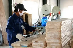 Ảnh chỉ có tính minh họa. (Nguồn: Internet)