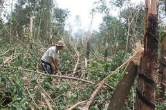 Ảnh chỉ có tính minh họa. (Ảnh: Tất Thành/TTXVN)