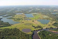 Vùng đầm lầy lớn nhất thế giới Pantanal. (Nguồn: Internet)