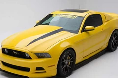 Mẫu xe Yellow Jacket Ford Mustang. (Nguồn: boxyblogs.com)