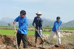 Ảnh chỉ có tính minh họa. (Nguồn: Internet)