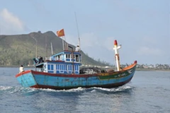 Ảnh chỉ có tính minh họa. (Nguồn: Internet)