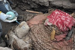 Hiện trường vụ khai quật. (Nguồn: Getty Images)