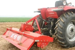 Ảnh chỉ có tính minh họa.