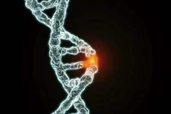 Ảnh chỉ có tính minh họa. (Nguồn: Internet)