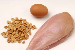 Tăng cường tiêu thụ protein để có cơ bắp chắc khỏe 