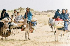 Tour du lịch sa mạc Sahara. (Nguồn: Internet)