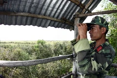 Chiến sĩ Tiểu đoàn 4, Trung đoàn 10 trên vọng gác quan sát bảo vệ rừng. (Ảnh: Trọng Đức/TTXVN.)