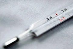 Ảnh chỉ có tính minh họa. (Nguồn: Internet)