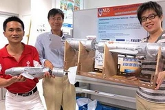 Cá robot có những tính năng giống như cá thật. (Nguồn: NUS) 