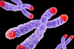 Ảnh chỉ có tính minh họa. (Nguồn: Internet)