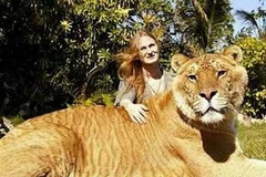 Ảnh chỉ có tính minh họa. (Nguồn: Internet)