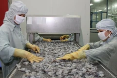 Chế biến tôm xuất khẩu tại Hậu Giang. (Ảnh: Huy Hùng/TTXVN)