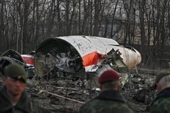 Hiện trường vụ rơi máy bay. (Nguồn: AP)